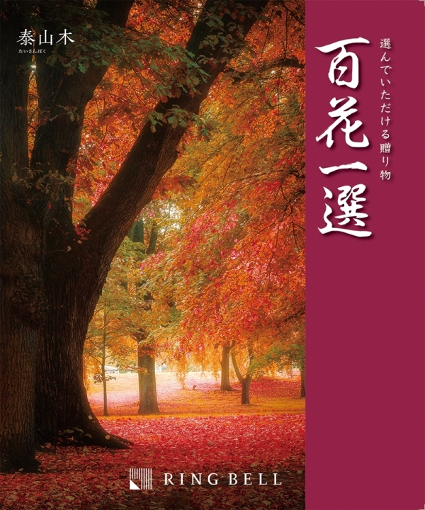 百花一選 たいさんぼく 泰山木 - 阪急百貨店 | WEBカタログ 百花一選 たいさんぼく 泰山木 - 阪急百貨店 | WEBカタログ