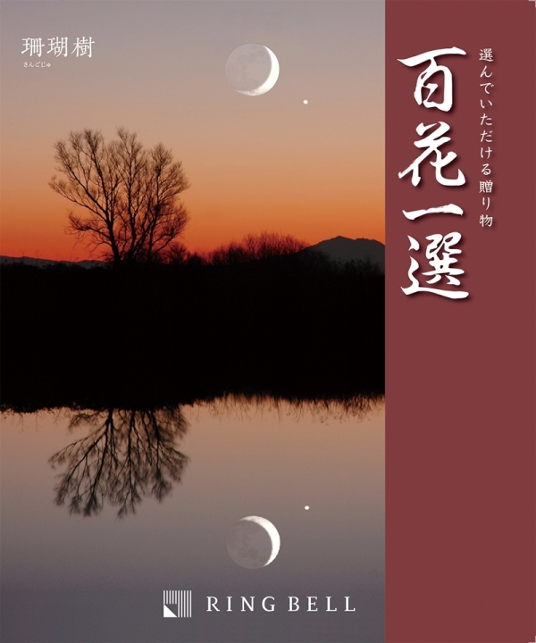 百花一選 さんごじゅ 珊瑚樹 - 阪急百貨店 | WEBカタログ