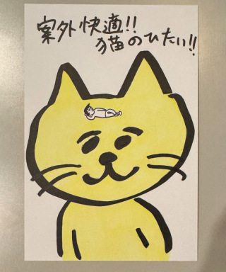 猫の額（おほしんたろう）