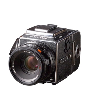 HASSELBLAD　503CW CFE80　（ 価格：店頭でご確認ください ）